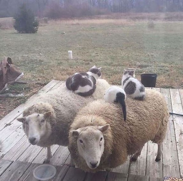 3. В тесноте, да не в обиде