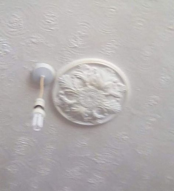 17. Насяльника, я сделяль