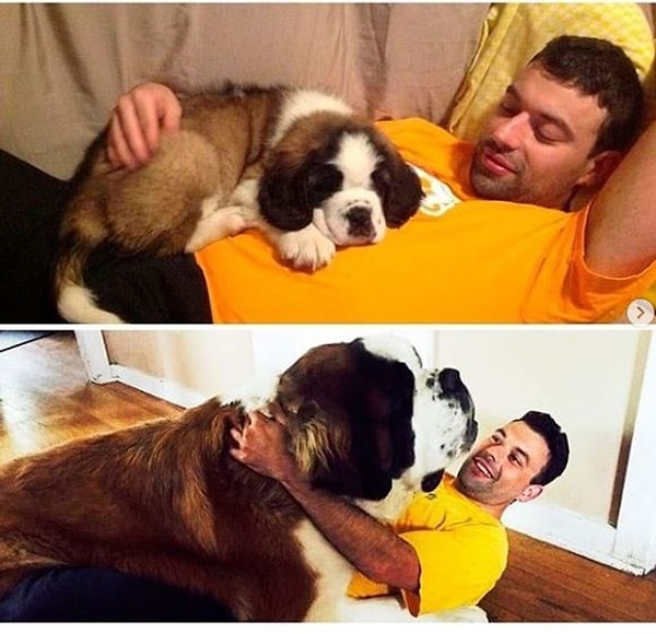 2. С годами наши любимцы занимают намного больше места :)