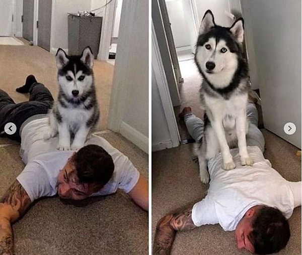 3. Любимые игры не меняются даже, когда повзрослел :)