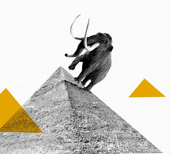 4. Во время строительства египетских пирамид на Земле еще жили мамонты