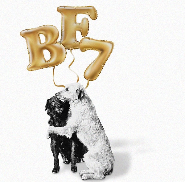 5. Психологи утверждают, что если ваша дружба длится более 7 лет, то, скорее всего, она навсегда