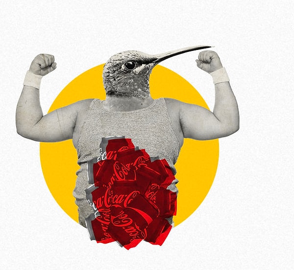 11. Если бы ваш метаболизм был таким же быстрым, как у колибри, вам пришлось бы выпивать банку колы каждую минуту, чтобы выжить