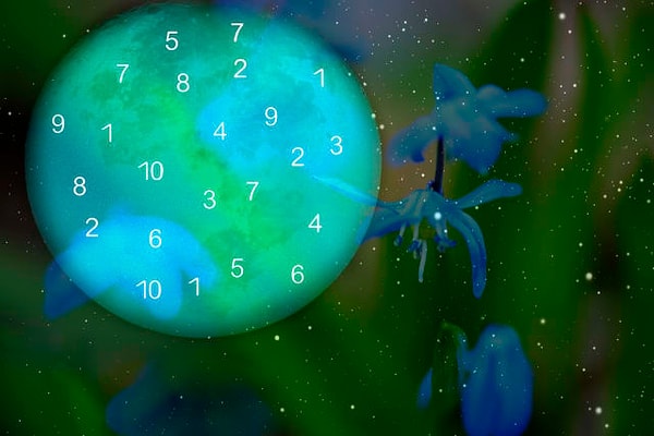 5. А из этих?