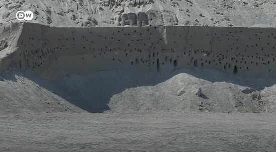 Avrupa'ya Göç Eden Kırlangıçlar Kum Tepelerine Yuva Yapınca, Ayda 100 Bin TL Zararı Göze Alarak Çalışmayı Durduran Şirket