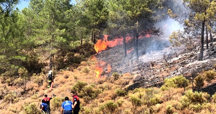 Dalaman ve Milas'ın Ardından: Muğla'da Üçüncü Orman Yangını Fethiye'de Çıktı, Alevler Kontrol Altına Alındı