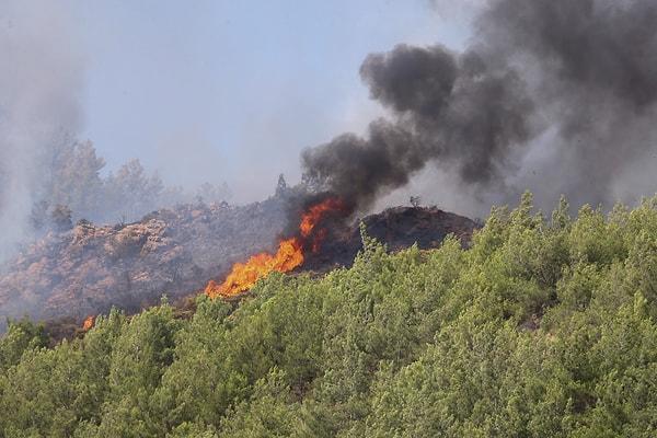 Yangın, yükselen dumanları görenlerin haber vermesi üzerinde fark edilmiş, bölgeye yangını söndürmek için orman ve belediye itfaiye ekipleri bölgeye sevk edilmişti.
