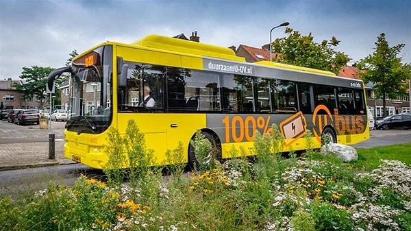 Şehrin bir diğer uygulaması ise, 2019'un sonuna kadar 125 otobüsü, 55 elektrikli otobüsle değiştirmek olacak.