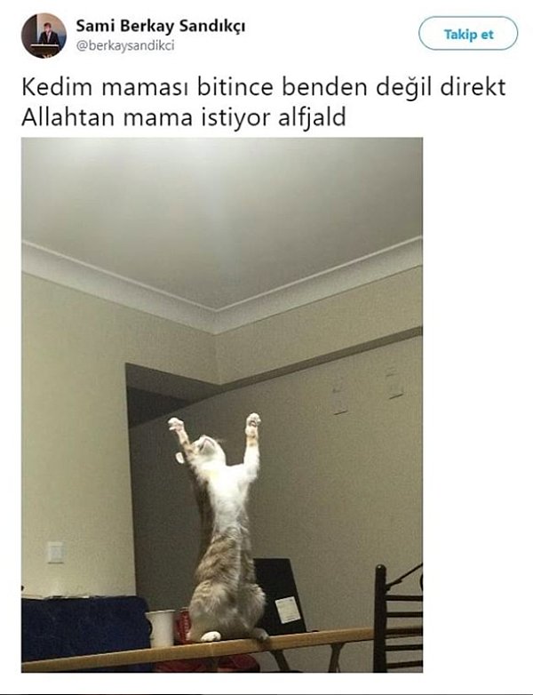 Tanrıdan diledim.