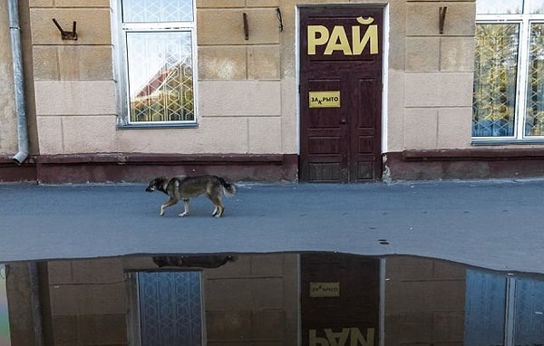 4. Вот так всегда :(