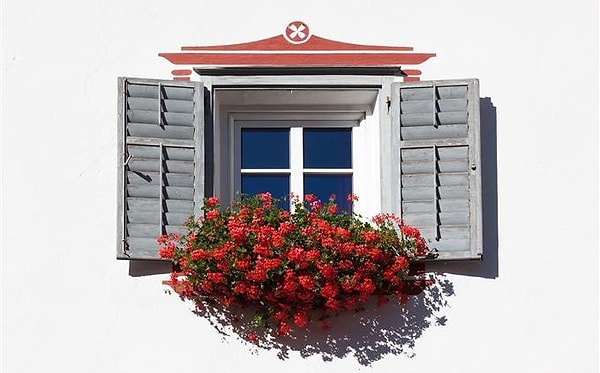 15. Вспомните последнюю фотографию. Сколько окон было на красном здании в центре?