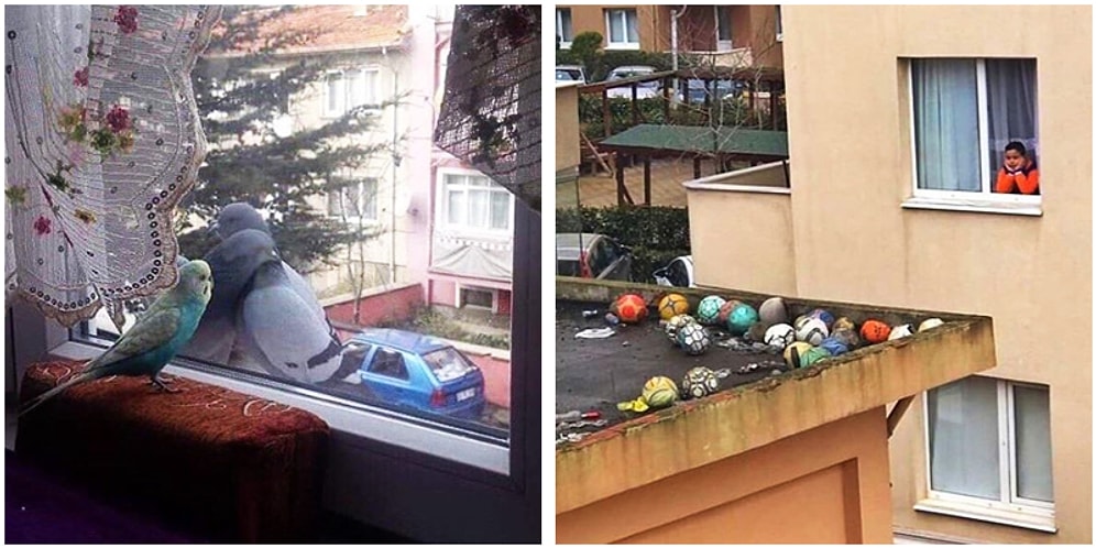 Bakarken Bir Tarafınızın Hüzünleneceği Bir Tarafınızın da Eğleneceği 17 Absürt Fotoğraf