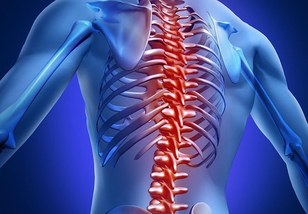 18. И последнее: кости, составляющие наш позвоночник, называются...