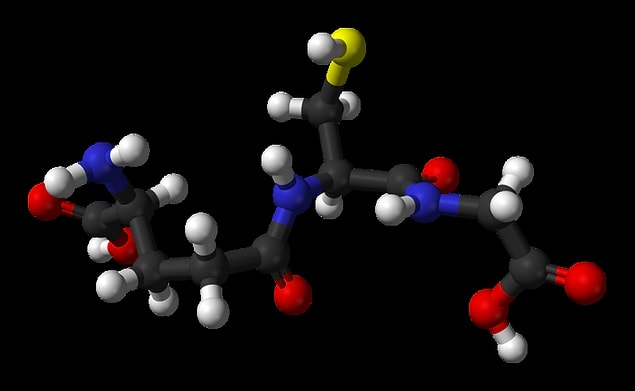 1. Birçok vitamin ve mineral madde içerir.