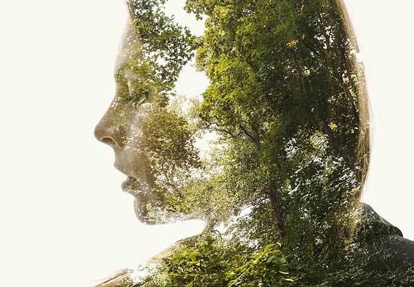 8. Кто тяжелее на Земле: все люди или все растения?