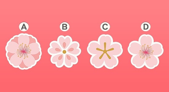 Тест: Выберите один из цветков и узнайте, чего вам стоит ожидать от последнего месяца лета