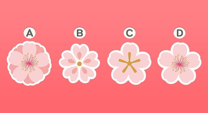 Тест: Выберите один из цветков и узнайте, чего вам стоит ожидать от июля 2020 года