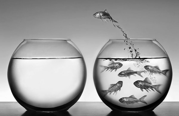 Авантюрный интроверт