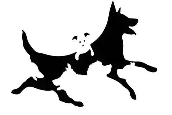 Сколько собак вы насчитали на этой картинке?