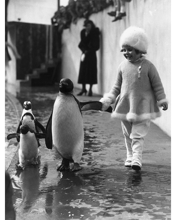 20. Девочка гуляет с пингвином в зоопарке Лондона.