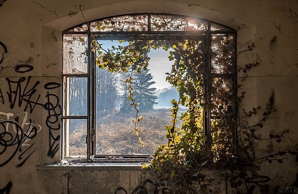 10. Заброшенная психбольница в Италии. Вид из окна как на картинах Боба Росса