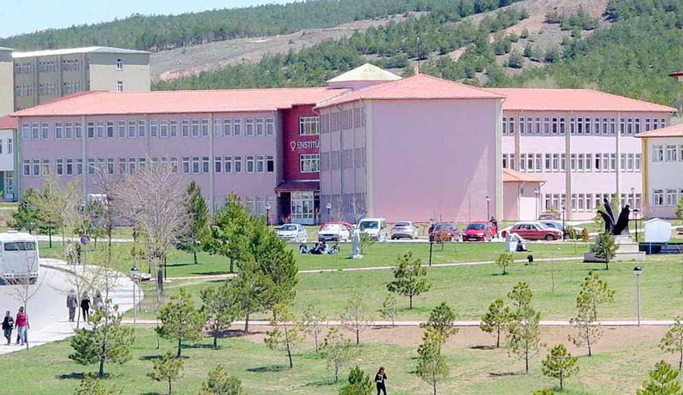 2019 Sivas Cumhuriyet Üniversitesi Taban Puanları ve Başarı Sıralamaları