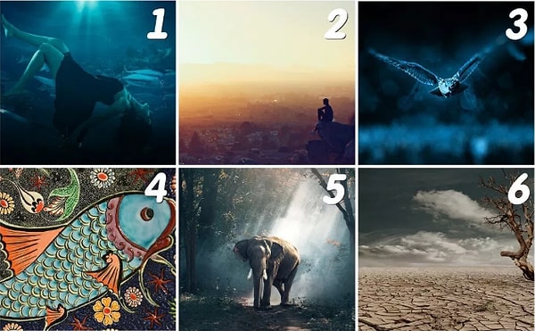 Всего лишь нужно из 6 картинок выбрать ту, которая больше всего привлекла ваше внимание.