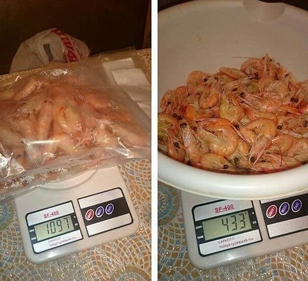 7. До разморозки и после разморозки