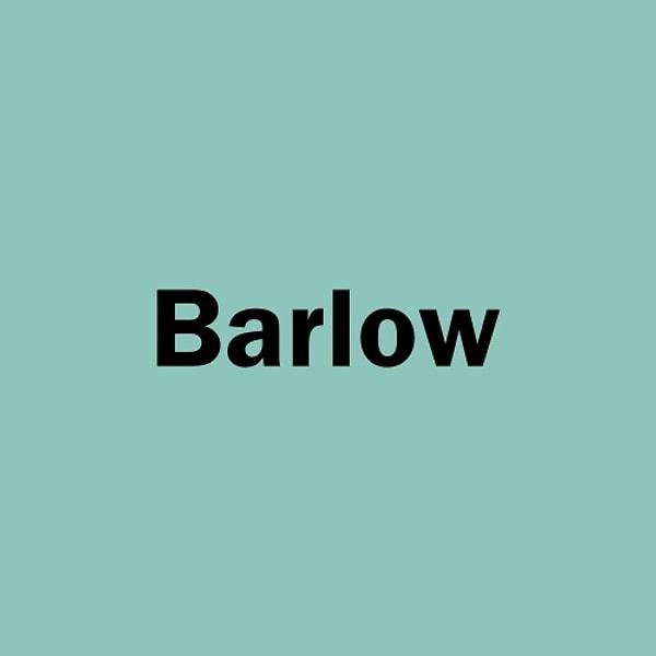 Yabancı biriyle evlenecek olsaydın adı Barlow olurdu!