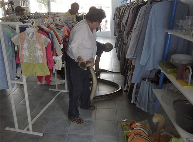 17. Avustralya'da sıradan bir alışveriş günü.