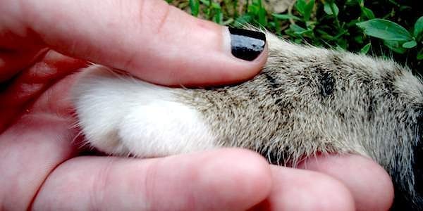 4. Что вы чувствуете, глядя на это фото?