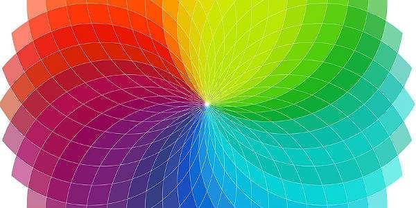 14. Выберите первый цвет, который увидели: