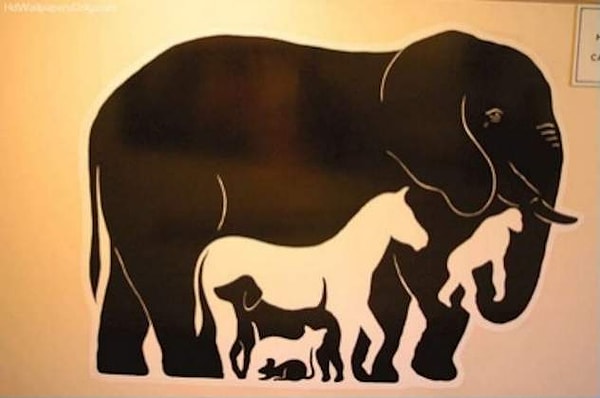 17. Какое животное вы заметили первым на этом рисунке?