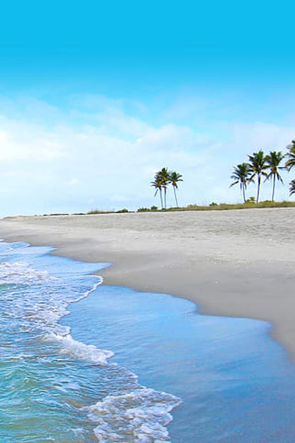 17. Не ездите в Майами-Бич во Флориде. Лучше отправляйтесь в Санибел, Форт-Лодердейл или Тампу.