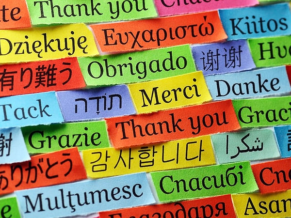 6. Вы говорите на иностранных языках?