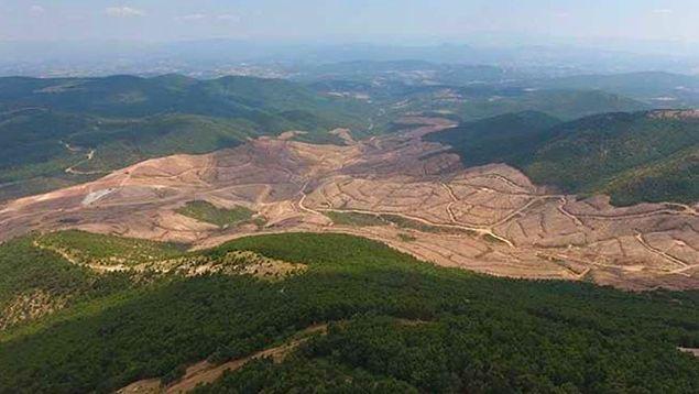 Çanakkale'de Altın Madeni İçin 195 Bin Ağaç Kesildi: 'Müthiş Bir Katliam'