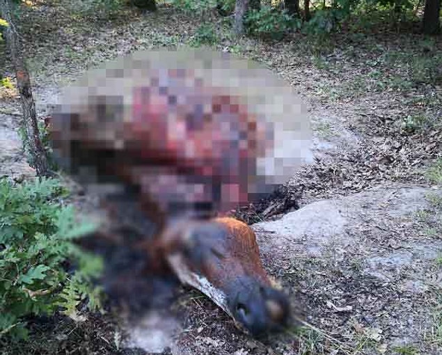 "Bunu yapanlar insan olamaz, bulunmasını istiyorum"