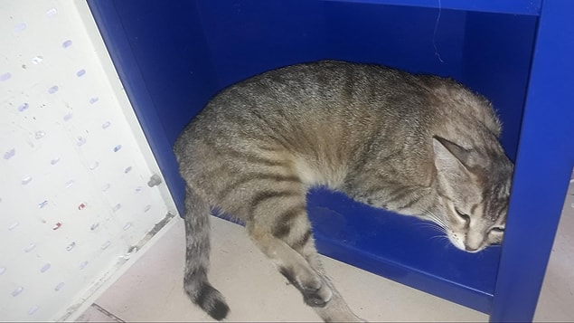 Kuşçu'nun şikayeti üzerine polis ekipleri, şüpheli 3 kişiyi yakalamak için çalışma başlattı.