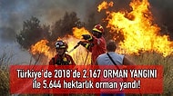 Türk İnsanı Hakkında Merak Edilenlere Işık Tutan, Oluşmasına Sizin de Katkı Sağladığınız 18 Data & İstatistik