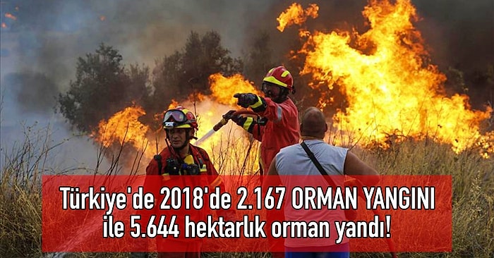 Türk İnsanı Hakkında Merak Edilenlere Işık Tutan, Oluşmasına Sizin de Katkı Sağladığınız 18 Data & İstatistik