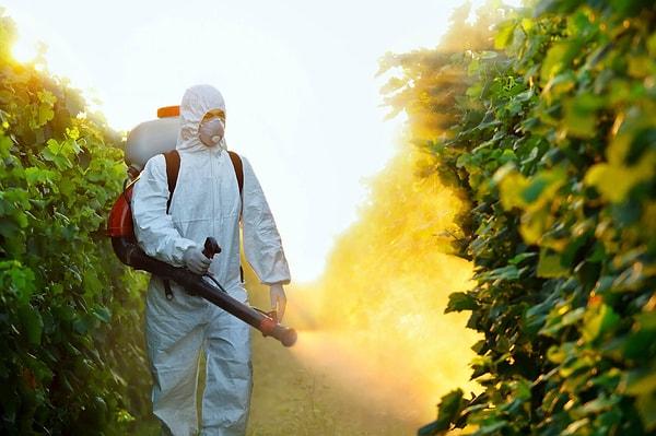 Pestisit etkileri nelerdir?
