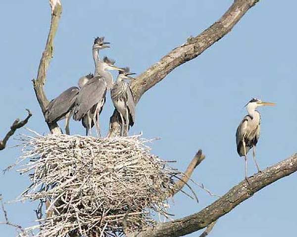 8. Я никогда еще не видел так много...