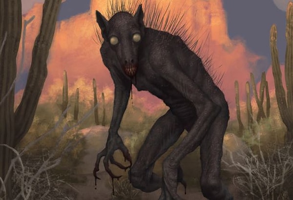 1. Кто такая кукабарра?