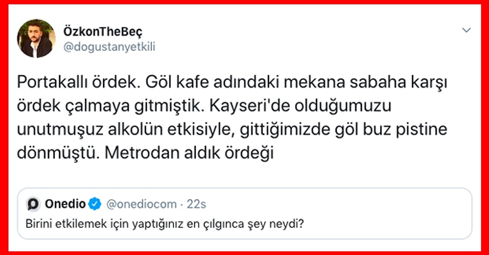 Birini Etkilemek İçin Yaptıkları Çılgınca Numaralarla Şaşkınlıktan Küçük Dilimizi Yutmamıza Neden Olan Takipçilerimiz