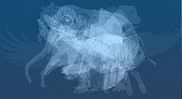 Не думая долго, выберите из списка то животное, которое вы рассмотрели в первую очередь: