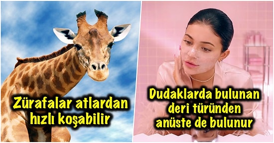 Etkilemek İstediğiniz İnsanla Muhabbet Ederken Araya Sıkıştırdığınız Zaman Havanıza Hava Katacak Kısa ve Eğlenceli 17 Bilgi