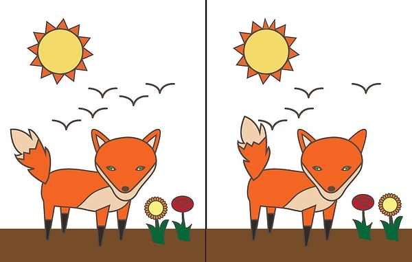 Не думайте долго! Просто выберите первое отличие, которое вы заметили: