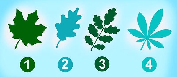 Итак, выберите лист: