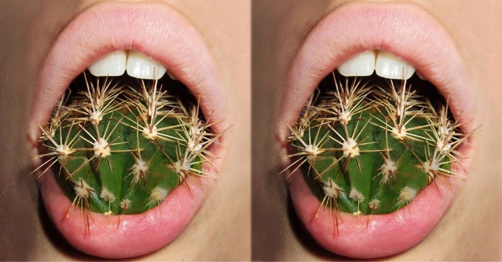 Sonunu 100 Kişiden Yalnızca 3'ünün Görebildiği Bu Zorlu Teste Dayanmak Neredeyse İmkânsız!