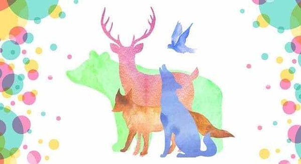 1. Итак, выберите животное: